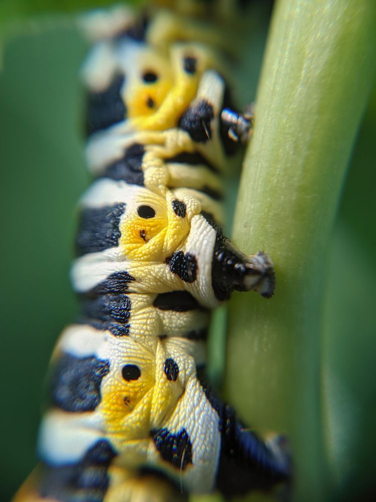 Photograph by Дудников Александр