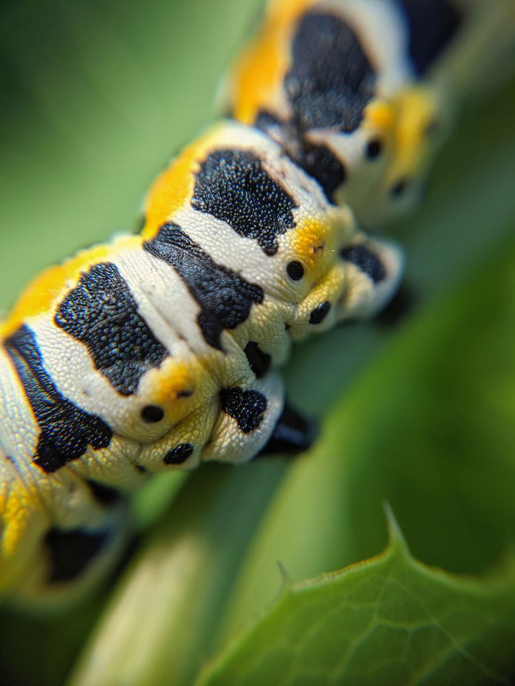 Photograph by Дудников Александр