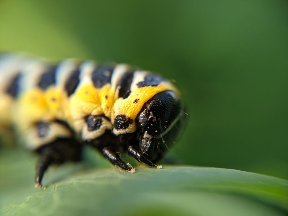 Photograph by Дудников Александр