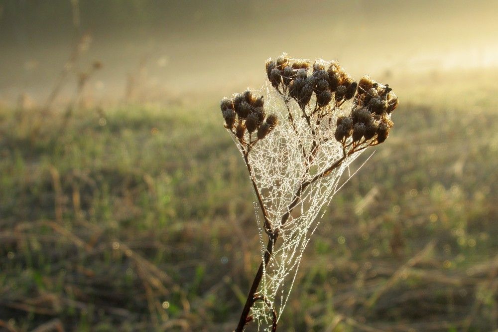 Photograph by Ольга Березовская