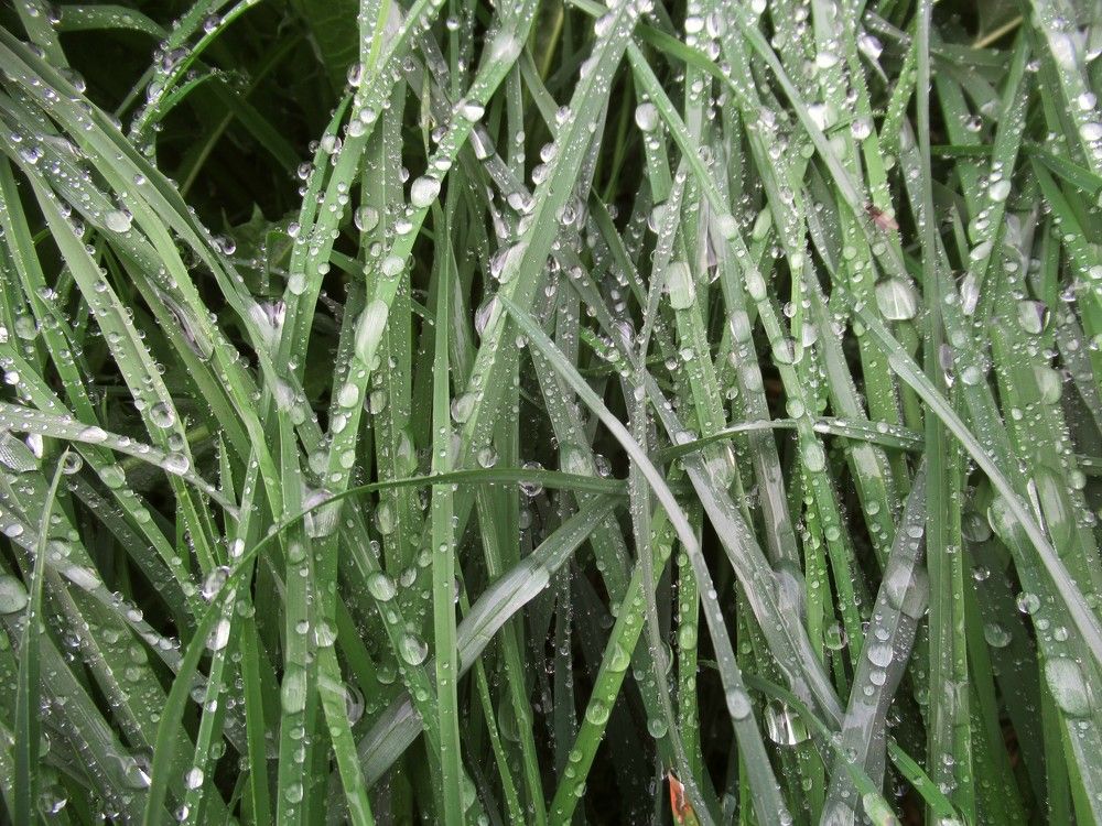 Photograph by Ольга Березовская