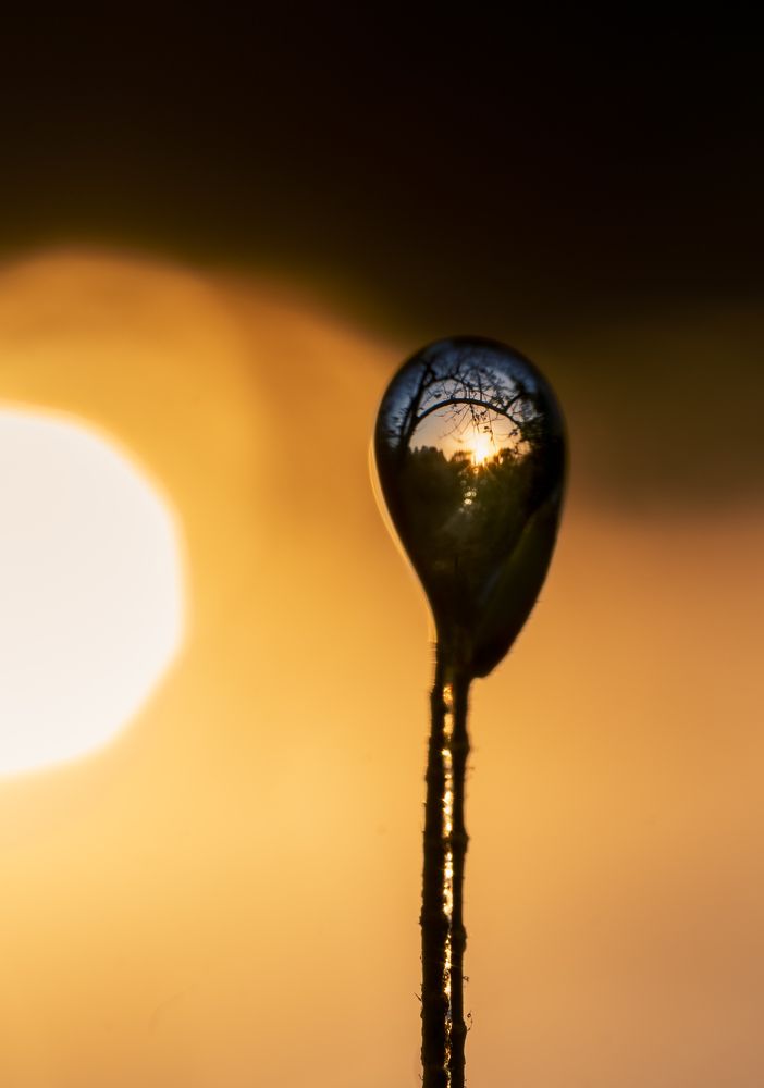 Photograph by Deryl Varela Cienfuegos