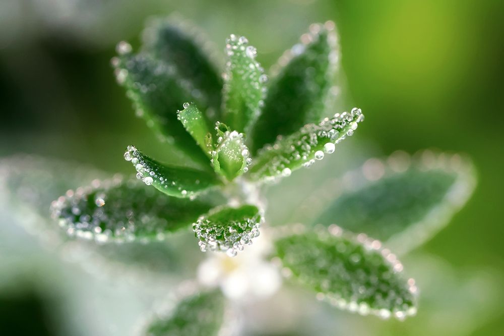 Photograph by Наталья Матюхина