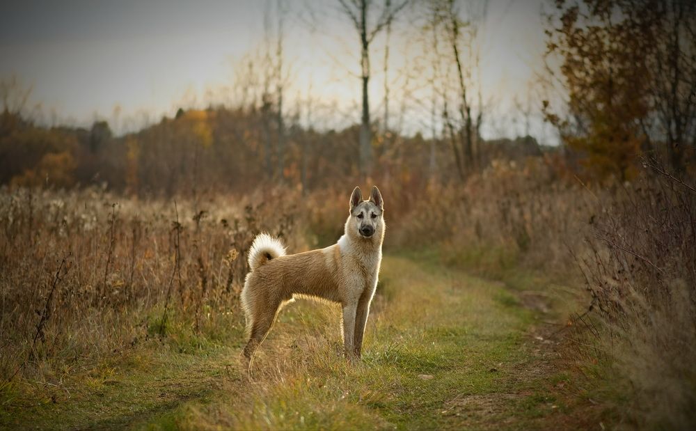 Photograph by Юрий Митенёв