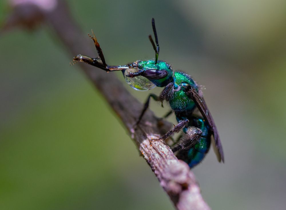 Photograph by Deryl Varela Cienfuegos