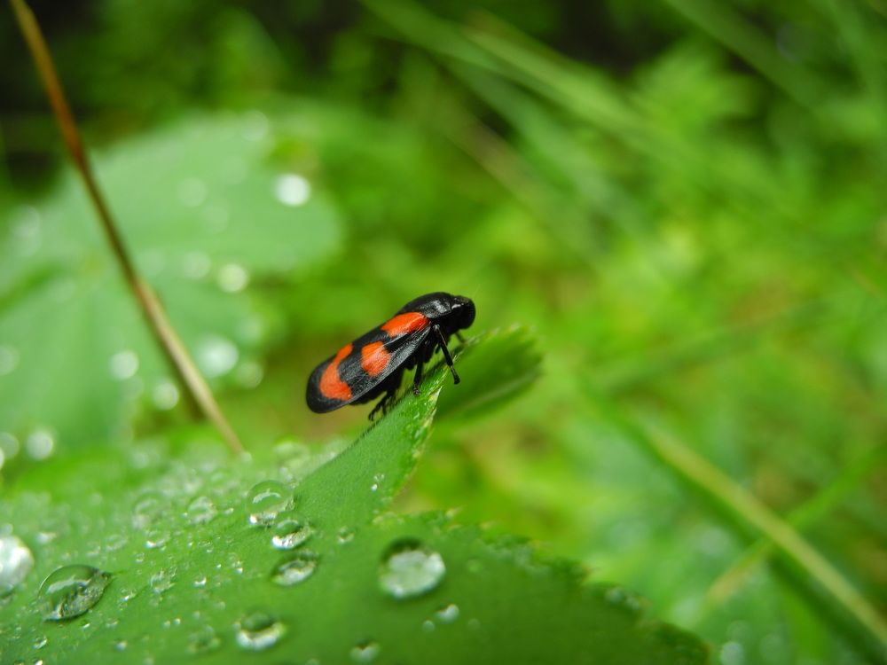 Photograph by Андрей Головин