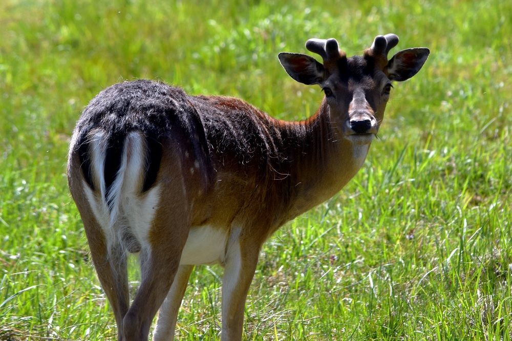Photograph by Андрей Головин