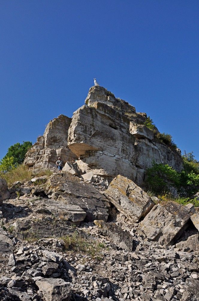 Photograph by Надежда Рудакова