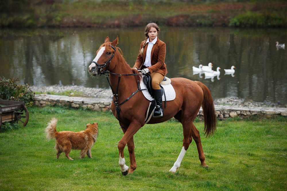 Фотография автора Елена Гордиевская