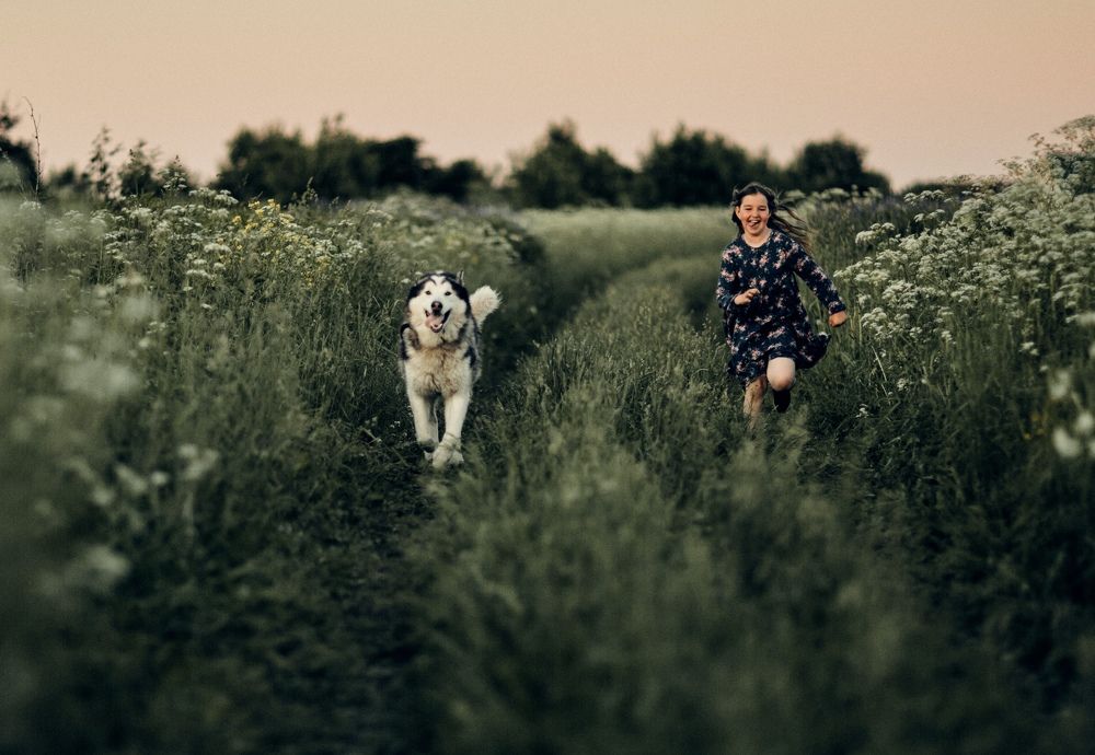 Photograph by Ирина Шевакова