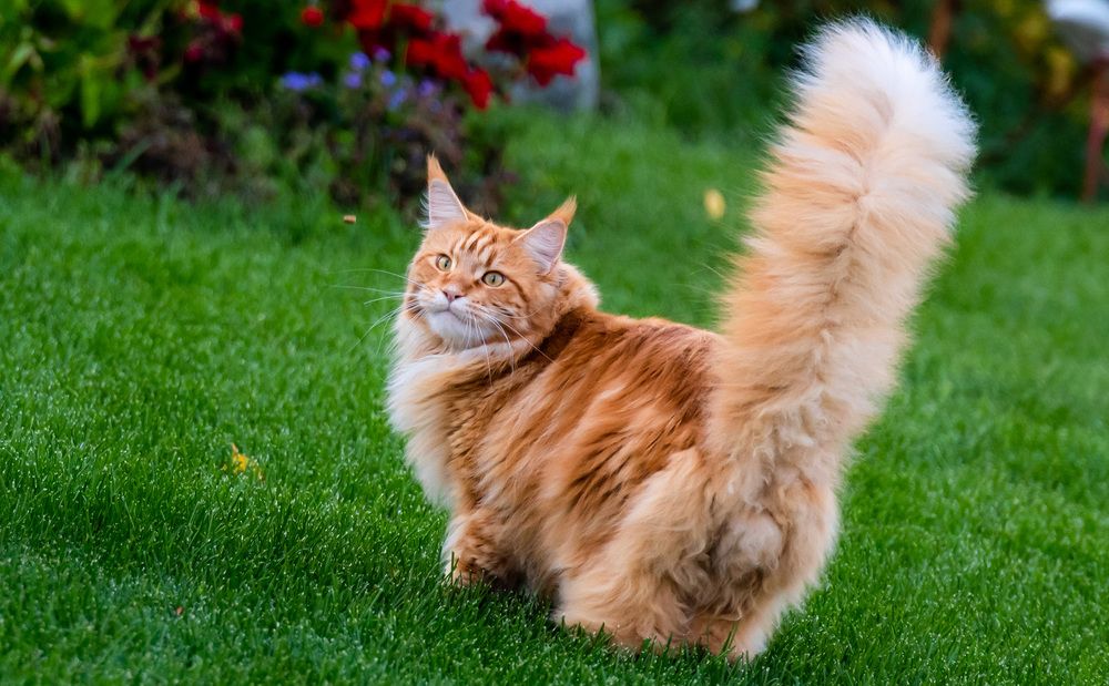 Photograph by Людмила Ковалева