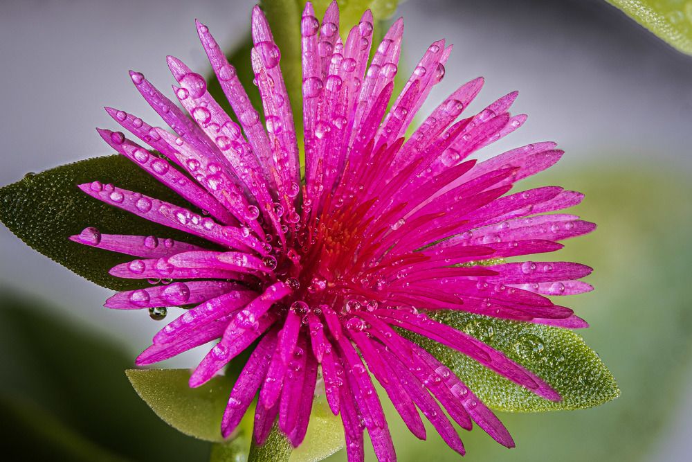 Photograph by Анатолий Костерев