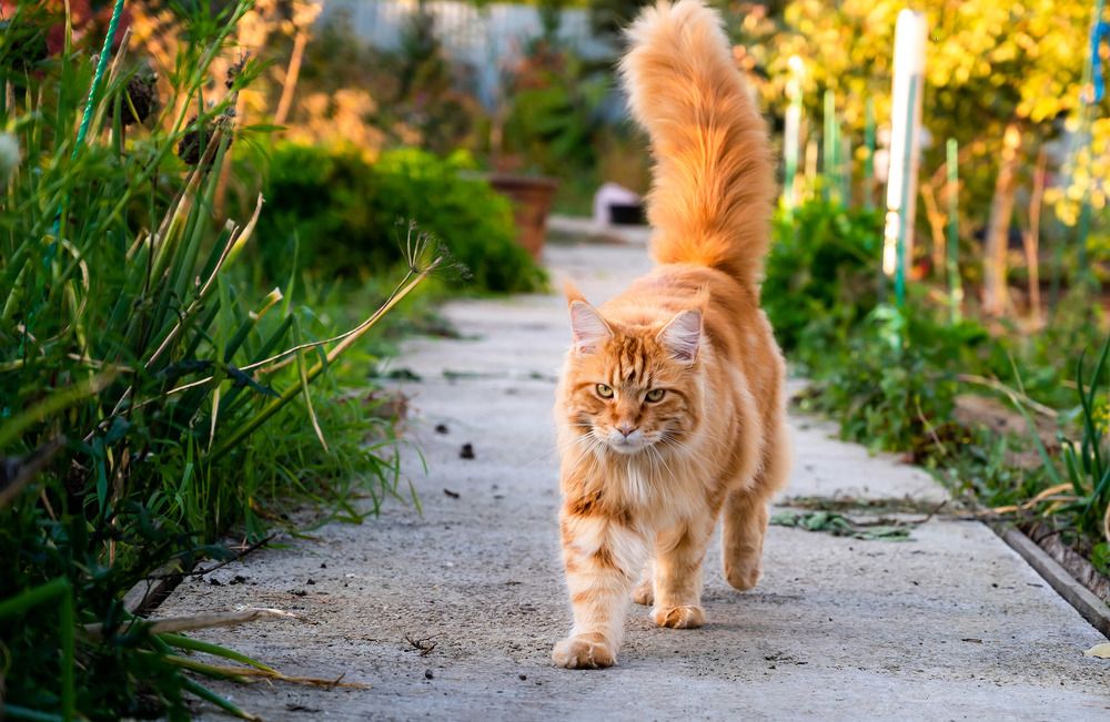 Photograph by Людмила Ковалева