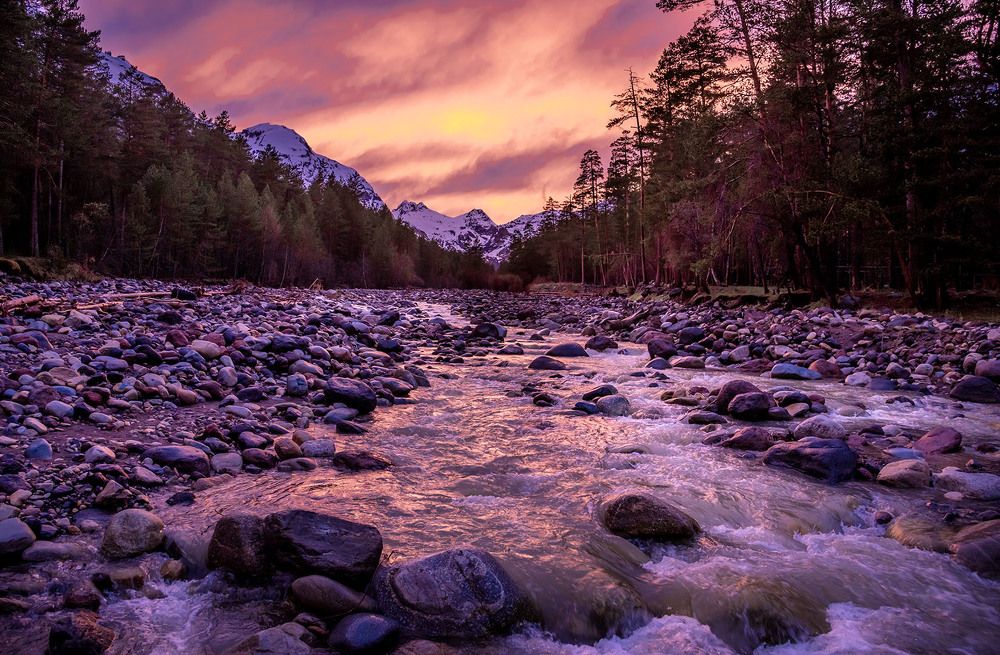 Photograph by Людмила Ковалева