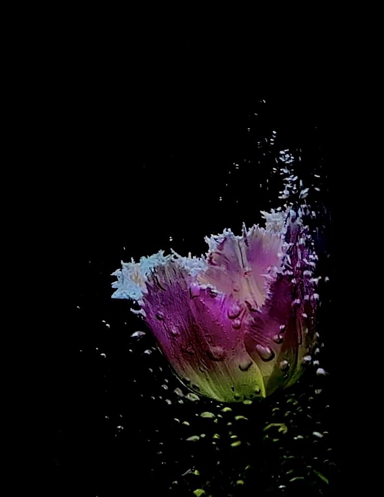 Photograph by Iryna Zakharchenia