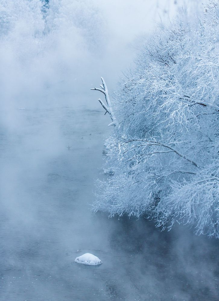 Photograph by Людмила Ковалева