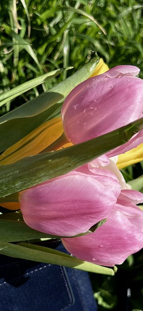 Photograph by Iryna Zakharchenia