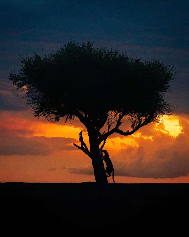 Фотография автора Anand Kumar