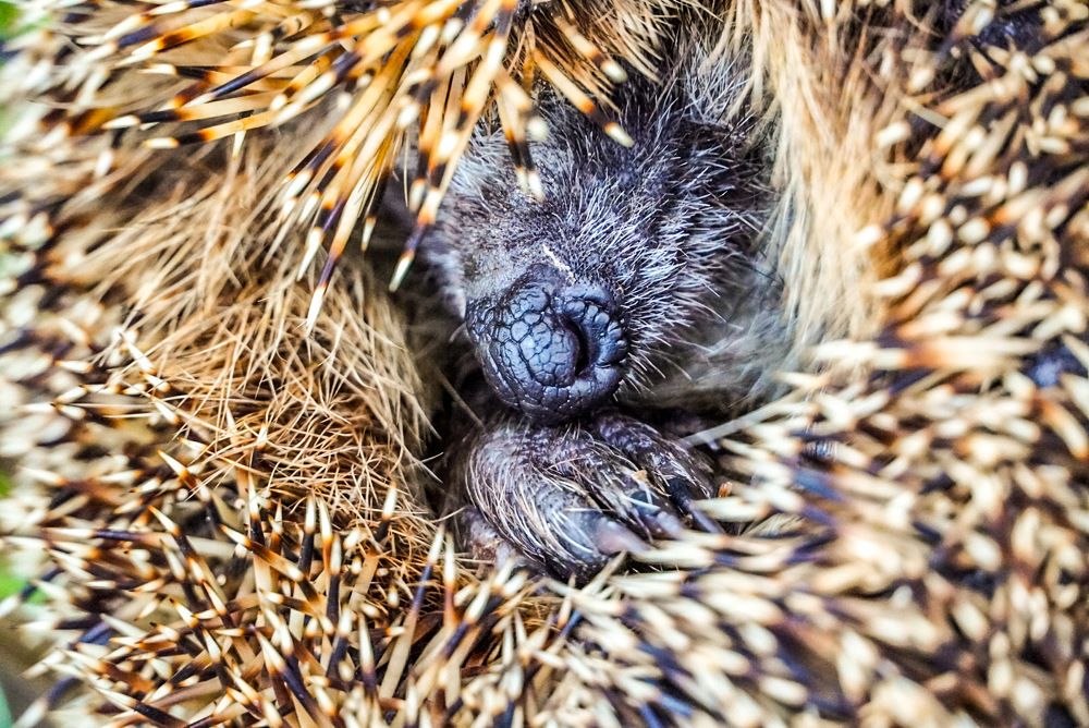 Photograph by Vitaly Zubkov