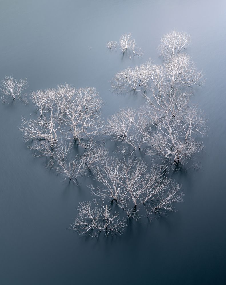 Photograph by Manh Cuong Truong