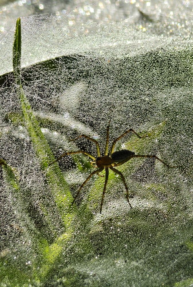 Фотография автора Светлана Зимина