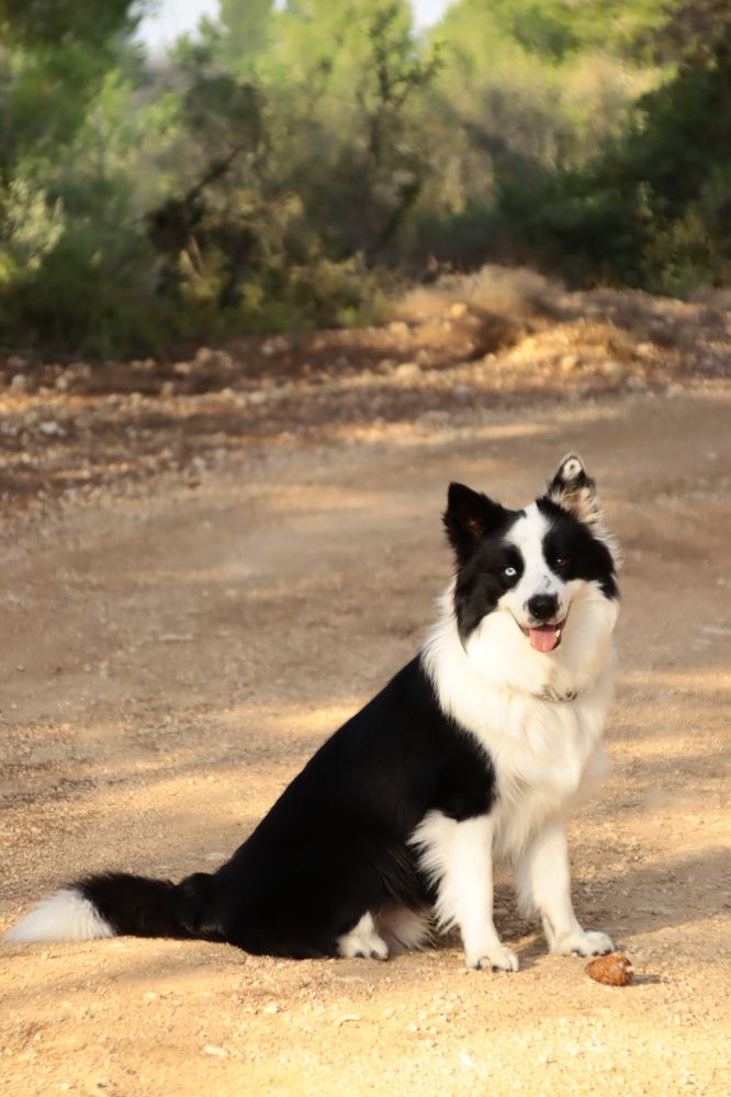 Фотография автора Olga Lavrenchuk