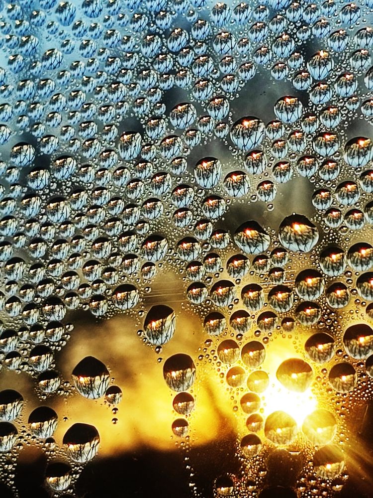 Photograph by Ольга Малина