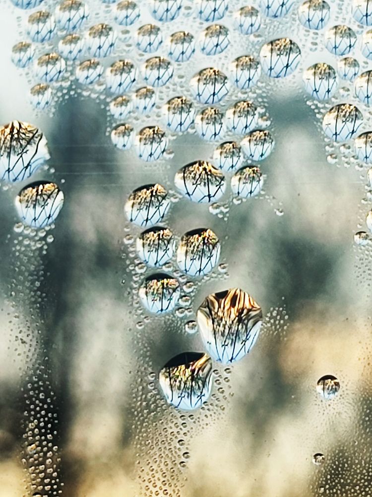 Photograph by Ольга Малина