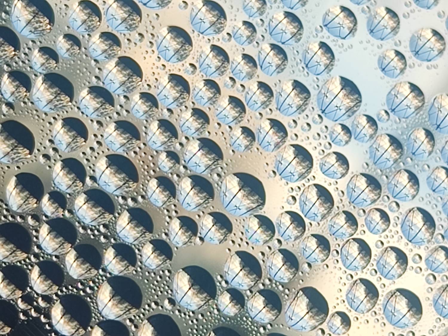 Photo #11479215