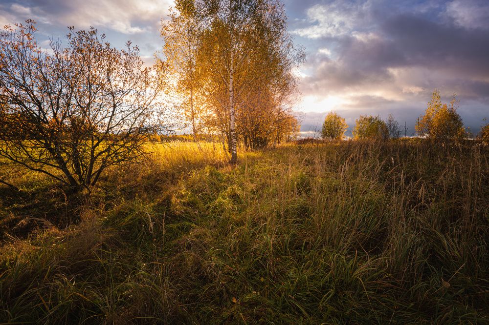 Photograph by Зеленько Дмитрий