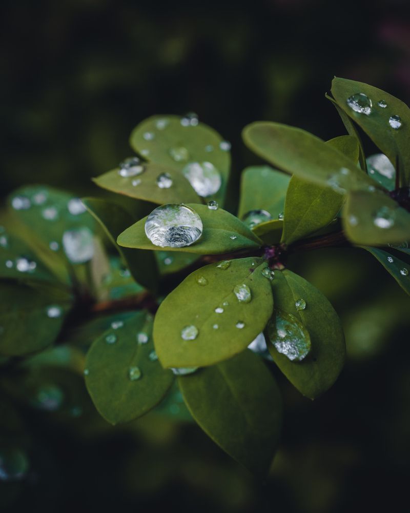 Photograph by Николай Головко