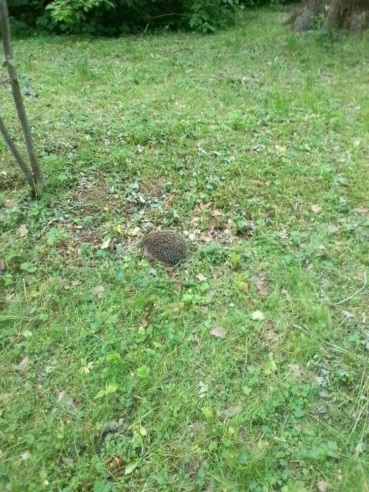 Photograph by Ольга Коркина