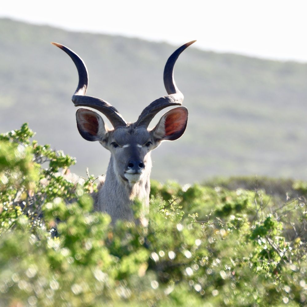 Photograph by Sandra Bruttomesso