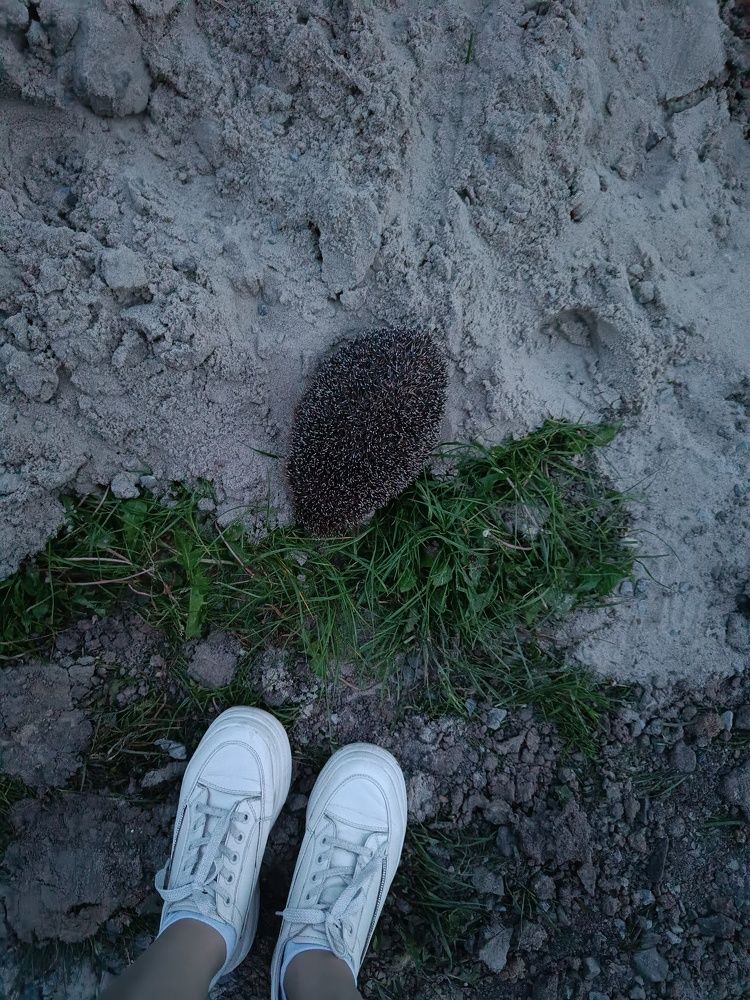 Photograph by Карина Слабкая