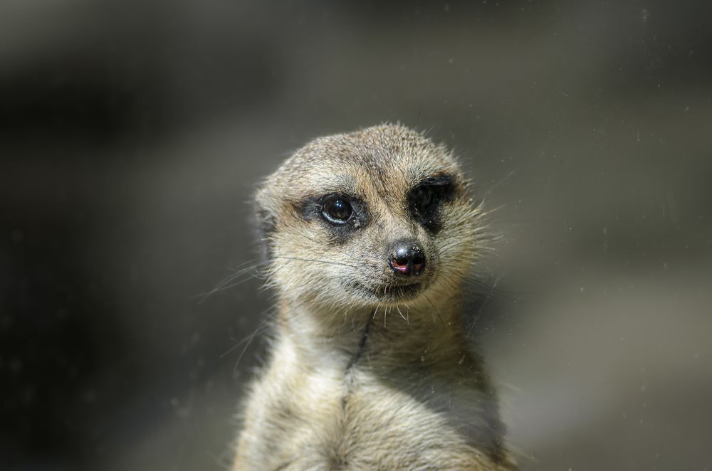 Photograph by Елена Берсенёва