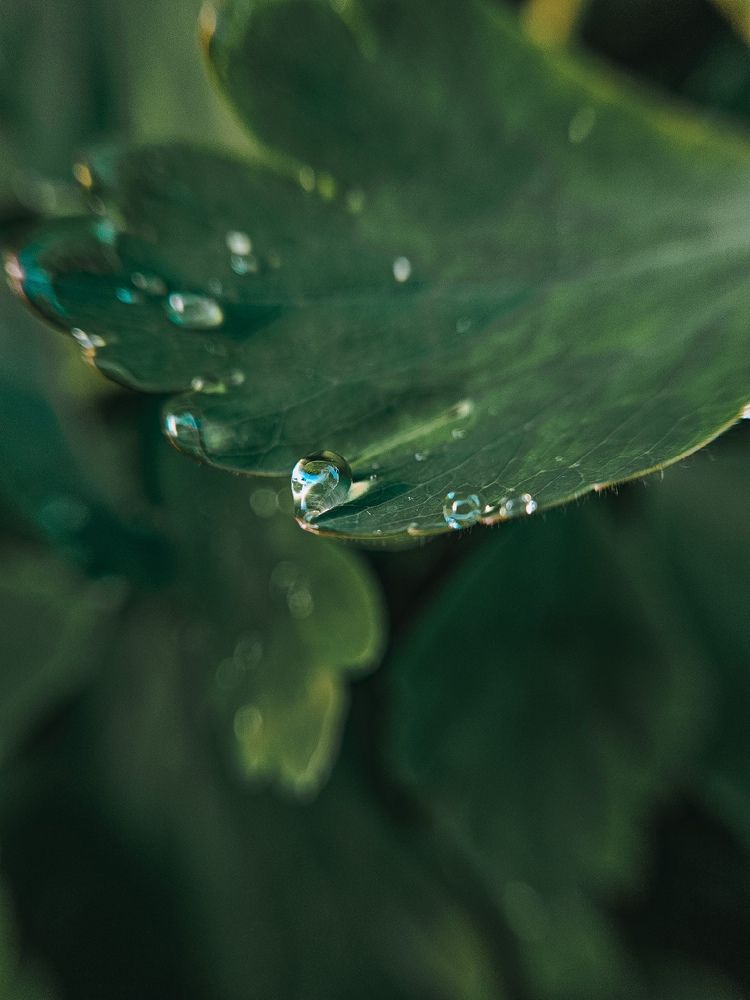 Photograph by Marina Kopylova