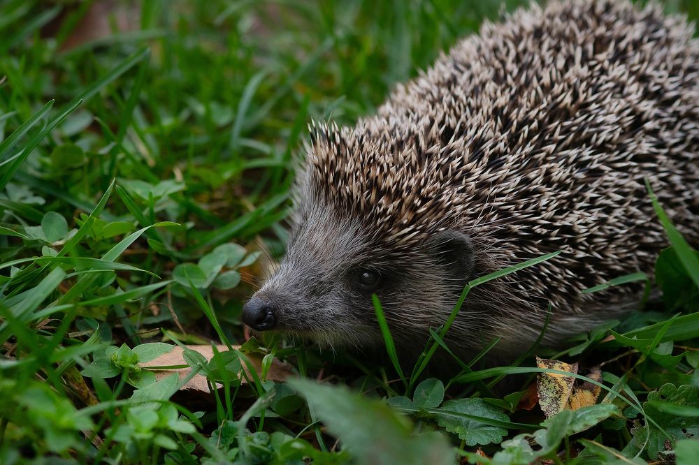 Photograph by Николай Xxxxxx