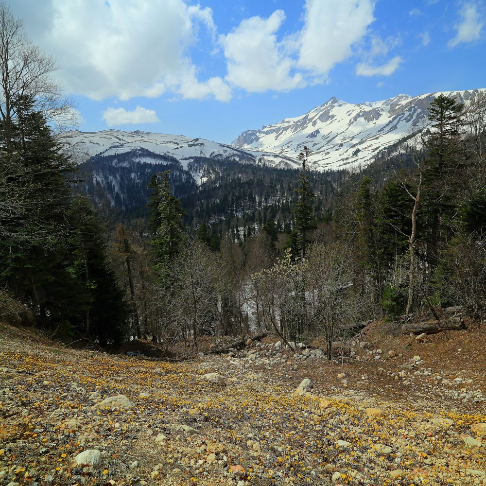 Весна в горах