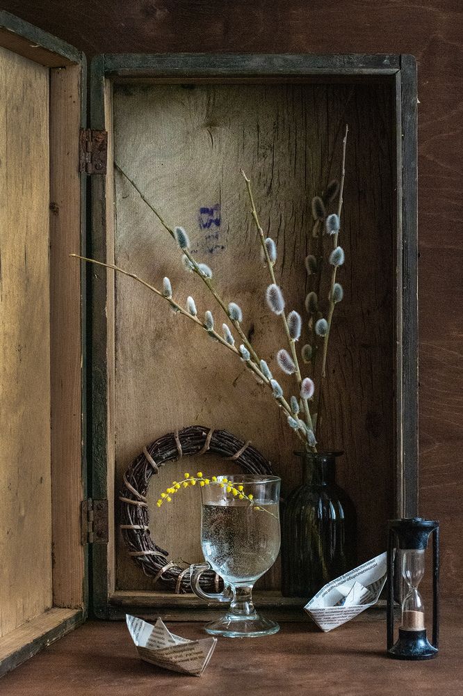 Весне навстречу