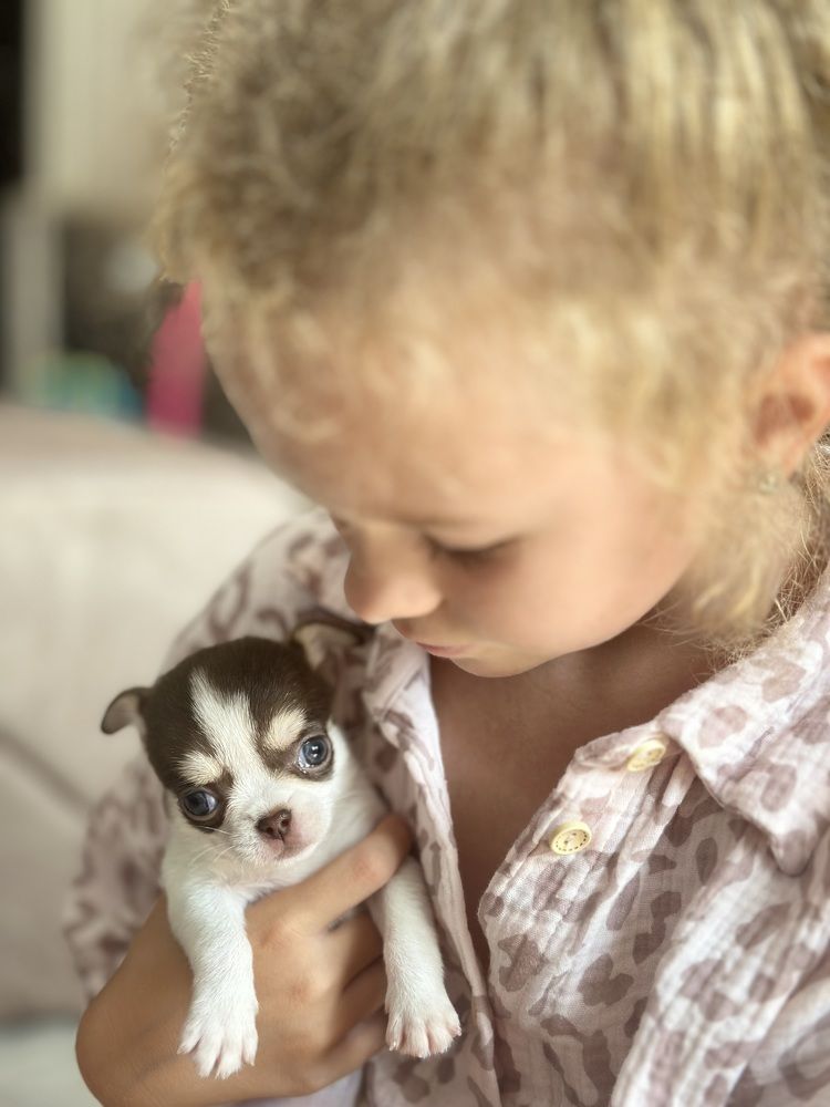 Photograph by Елена Горчакова
