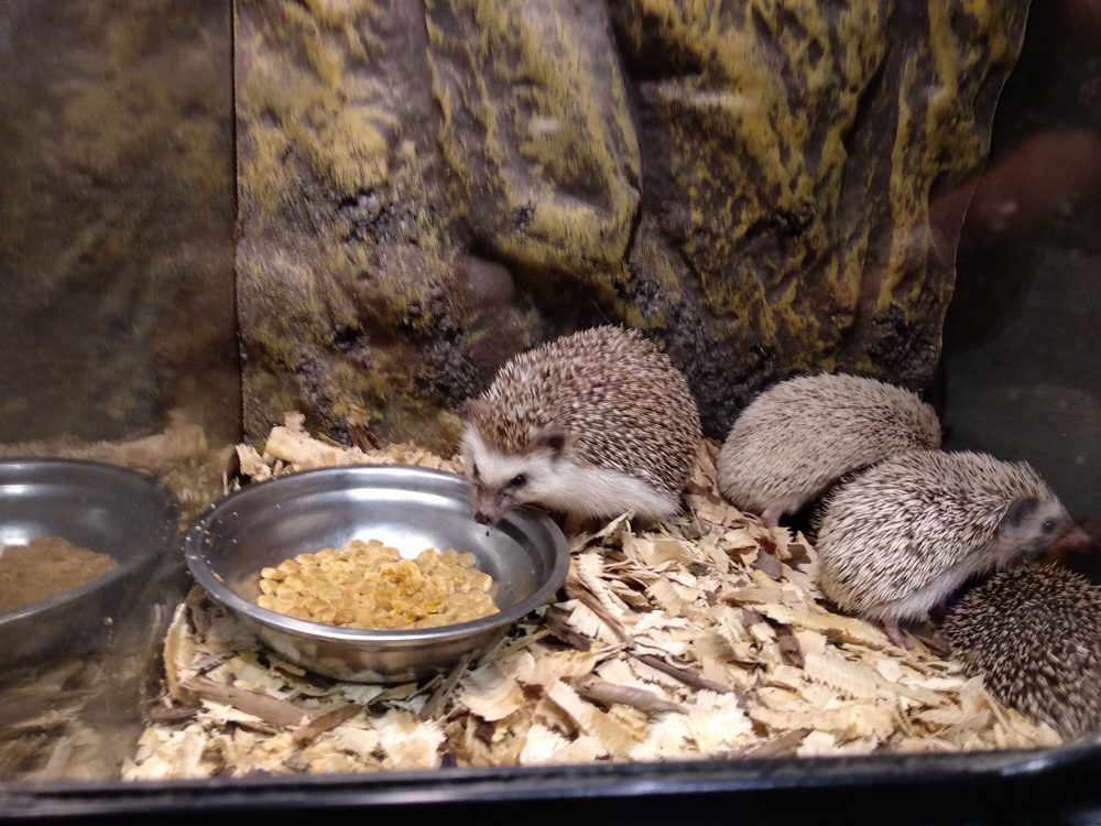 Photograph by Lilit Petrosyan