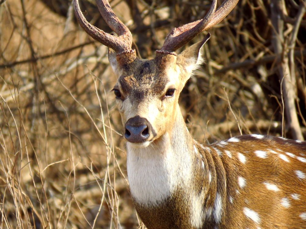 Photograph by SUCESS LOVER