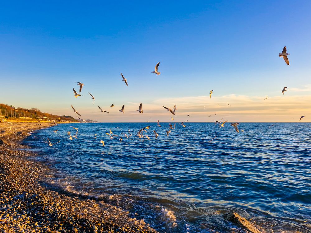 Photograph by Игорь Чечин