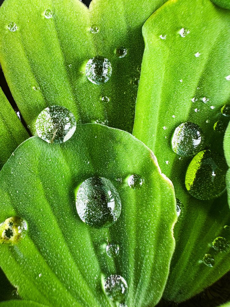 Photograph by Екатерина Козлова