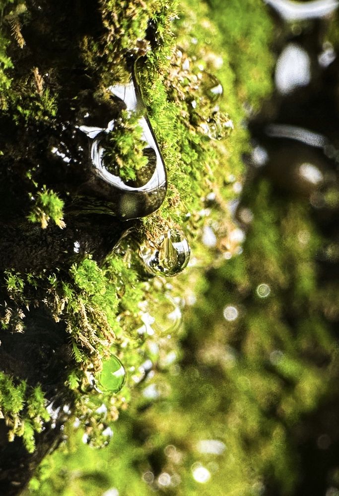 Photograph by Екатерина Козлова