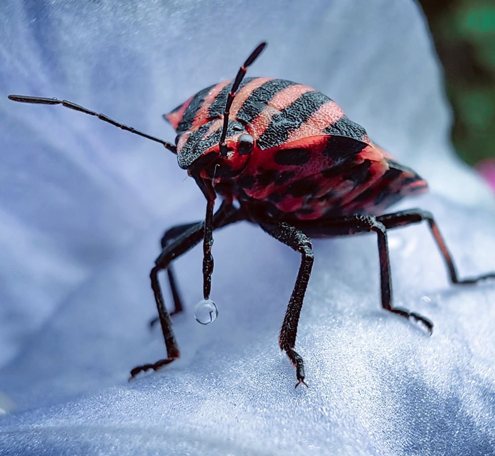 Photograph by Анна Епанчинцева