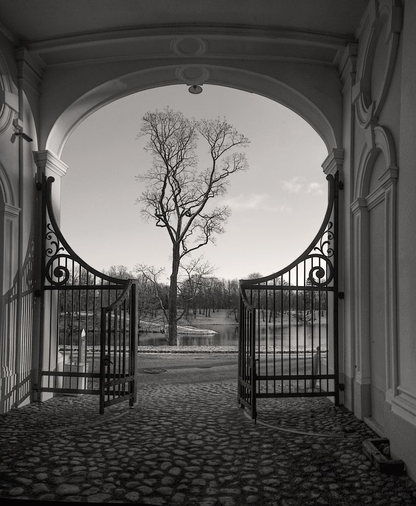 Photograph by 