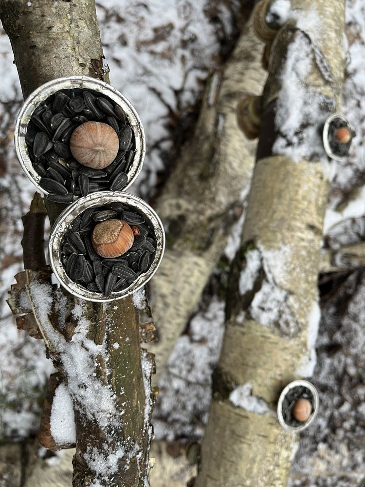 Для белочки…!!!