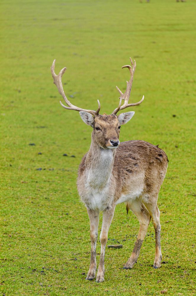 Photograph by Oleg Yashin