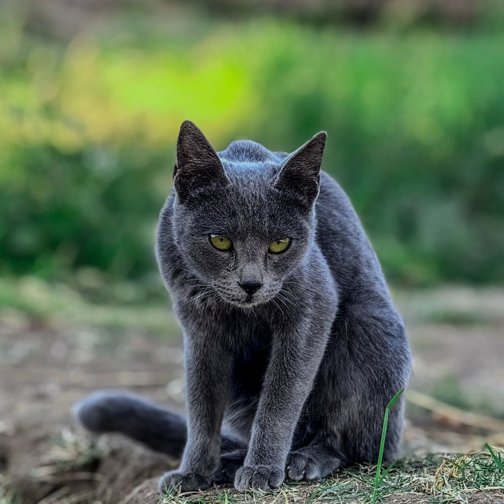 Photograph by Mohamed Saeed Abd-elshafy